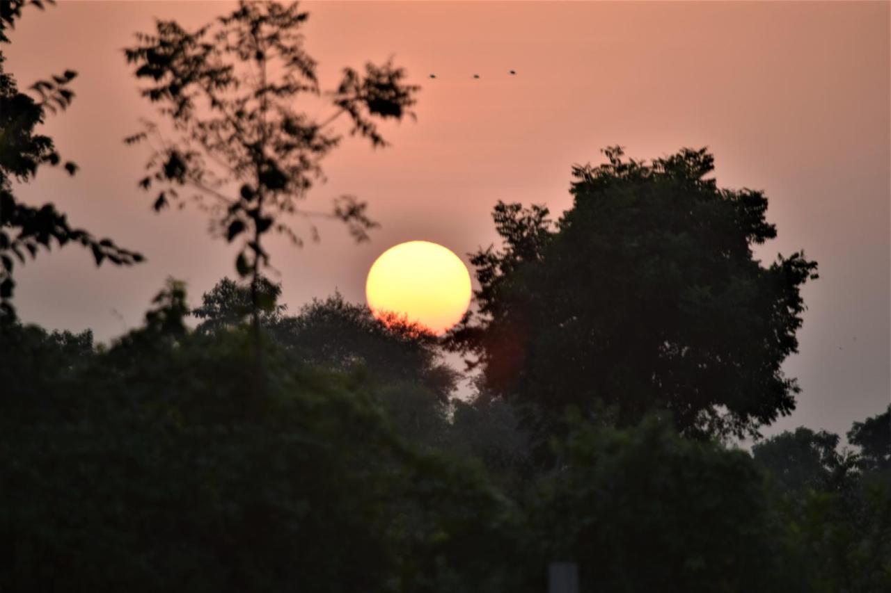 Ranthambhore Bagh Dwar Camp Khilchīpur Esterno foto