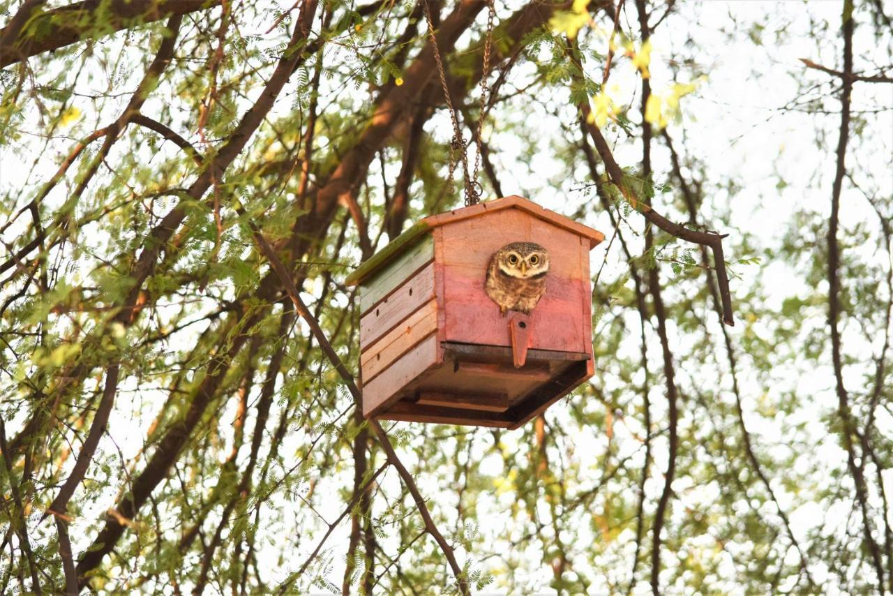 Ranthambhore Bagh Dwar Camp Khilchīpur Esterno foto
